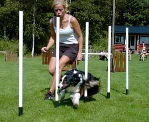 Kelly slalom